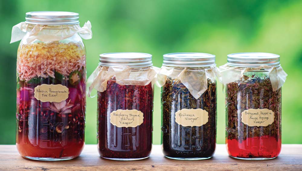 Four jars of vinegar infusing with various herbs.