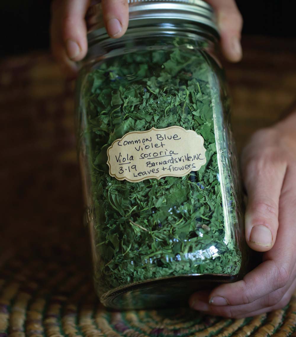 Storing dried herbs in glass jars prolongs their freshness.
