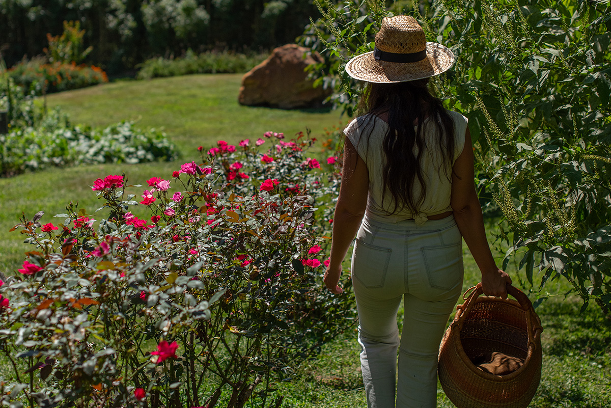 how to start herb business