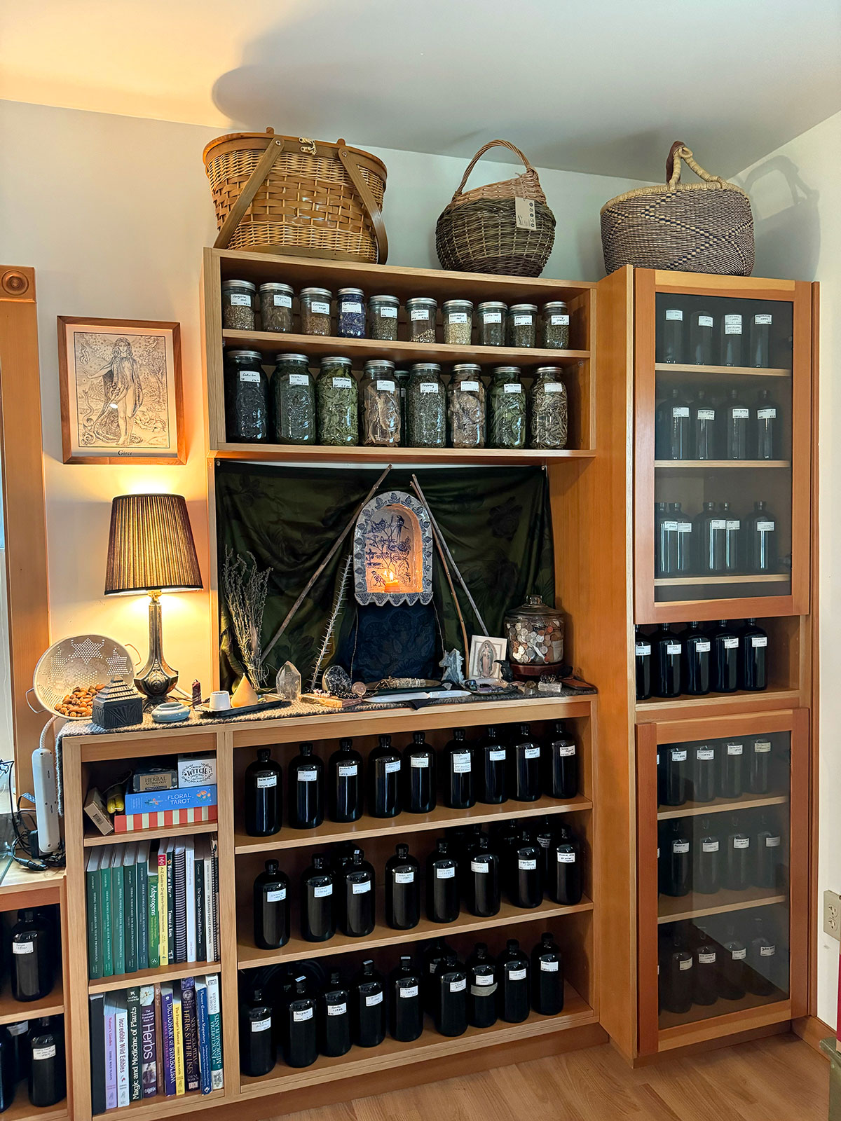 An orderly and well stocked apothecary of a Chestnut School of Herbal Medicine Student.