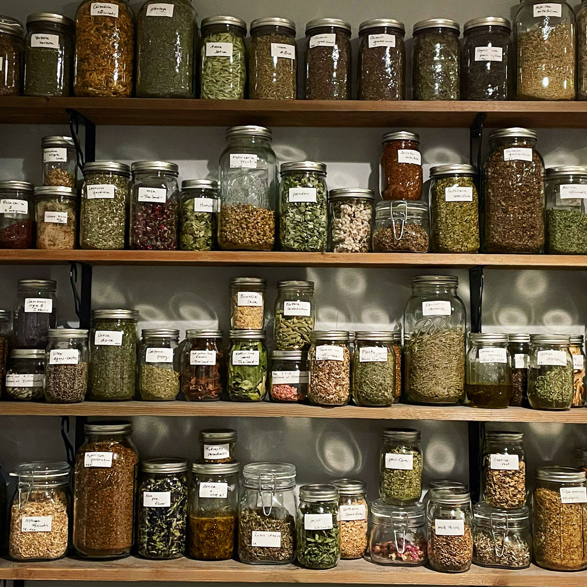 A well-organized apothecary ensures that the right remedy is at hand when you need it.