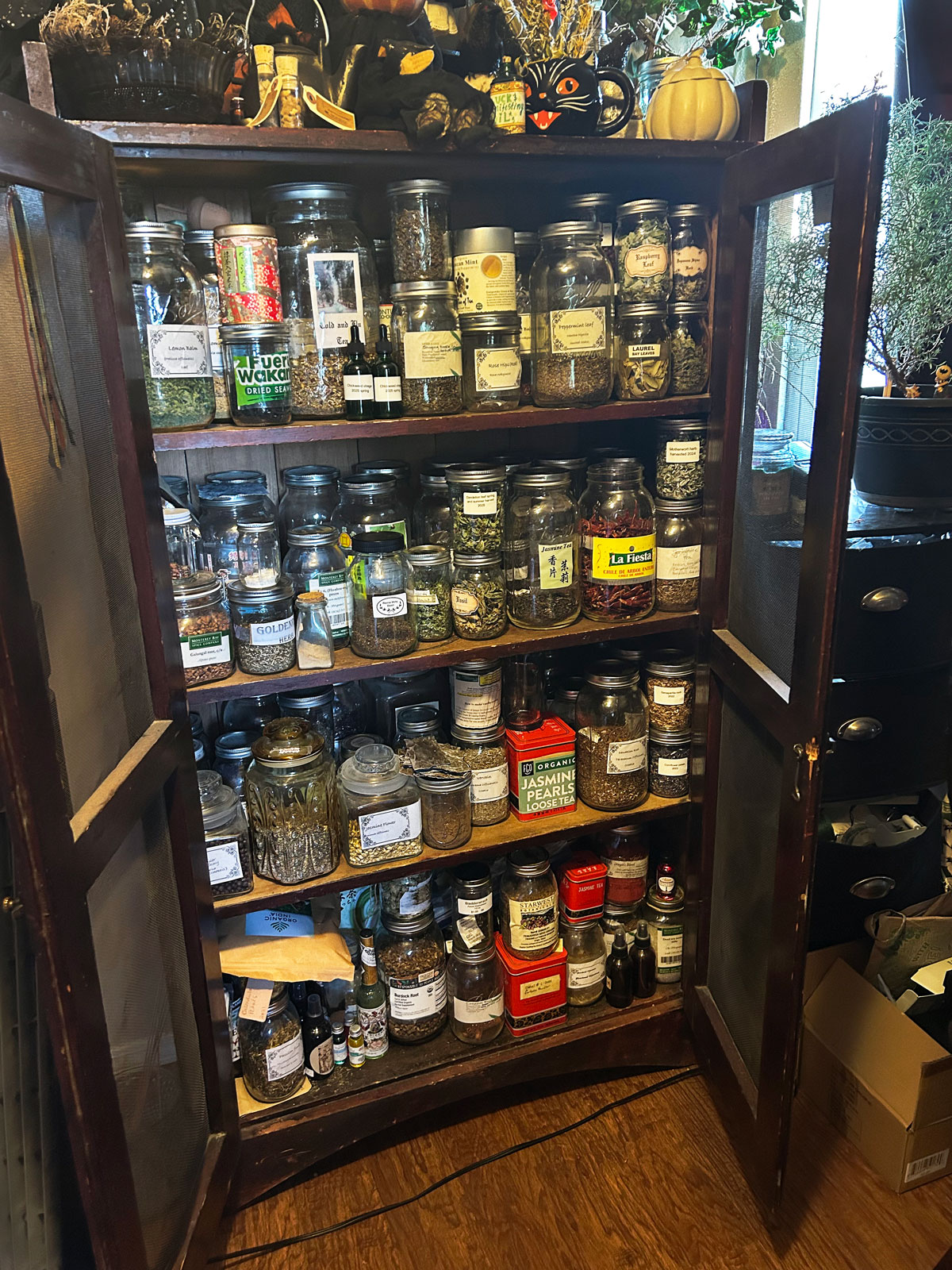 A well stocked apothecary of a Chestnut School of Herbal Medicine student.