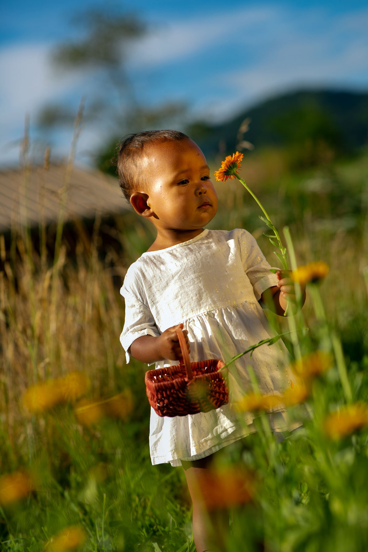Herbs for Kids calendula
