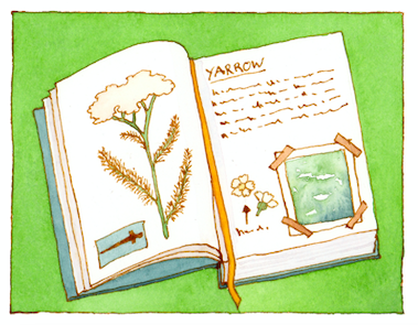 herbs for kids grimoire