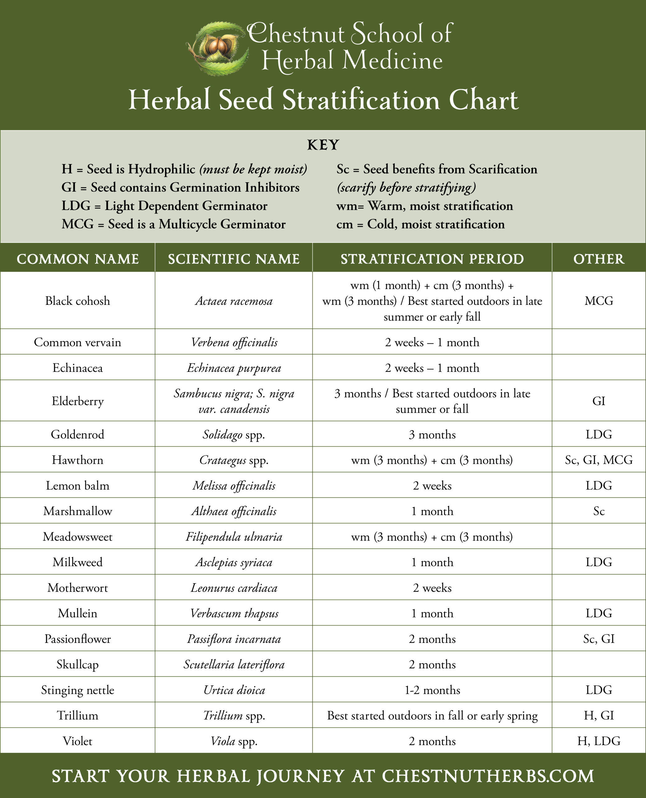 Chestnut School of Herbal Medicine's Herbal Seed Stratification Chart